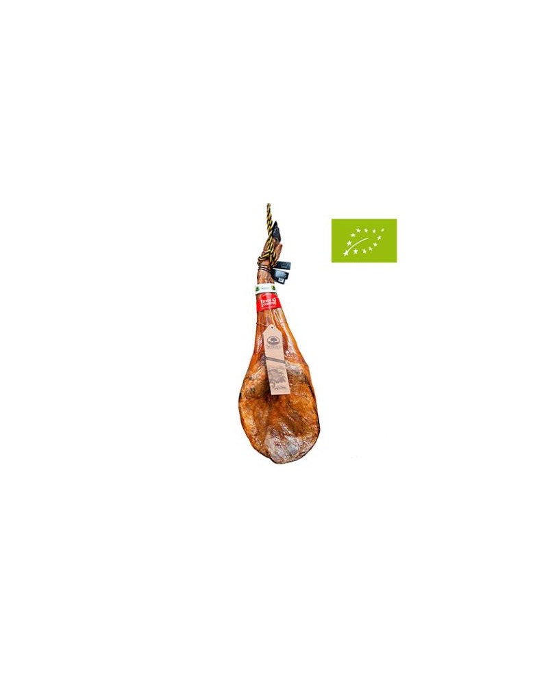 Umărul de Bellota Iberică 100% bio - Pata Negra